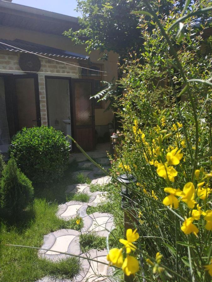 Sim Sim Hostel & Guest House Near The Church Samarkand Exterior photo